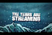 create lyric video for your song