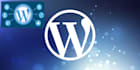 install and setup SEO friendly wordpress responsive website