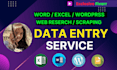 do data entry, copy paste, web research and excel data entry