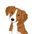 draw your pet in cartoon style