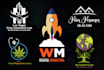 create a professional logo design