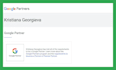 set up google ads campaigns for optimal performance