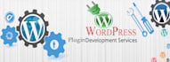 solve wordpress website and wordpress plugin