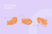 provide product illustration and vectorization
