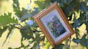 create a magical photo slideshow for your loved ones
