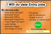 be your professional data entry, data cleaning, data collection and web research