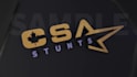 create a stunning logo animation