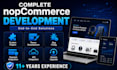 develop nopcommerce plugin, theme and ecommerce website