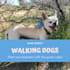 customize this video to promote your pet business