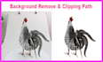 do background removal, cut out, clipping path, white or transparent bg