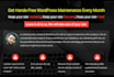 do wordpress maintenance and updates monthly