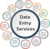 do professional online or offline data entry and copy paste work