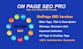 optimize onpage SEO for wordpress and shopify websites