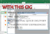 design excel data analysis with macro