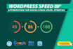 speed optimize wordpress website, google pagespeed insights, page speed gtmetrix