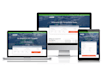 design and develop a responsive wordpress website with SEO