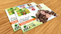 design creative brochure and flyer design