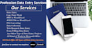 do all type of data entry jobs