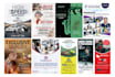 provide a professional flyer design