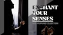 design web banner, banner ad, social media banner