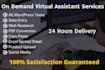 be your virtual assistant 24 hours fast delivery