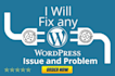 create, fix, customize your wordpress website