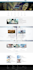fix, develop, design, and customize your wordpress website