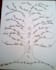 custom draw a family tree up to 10 names