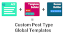 install,customize website using advanced custom fields pro