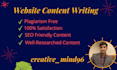 be your SEO website content writer, website copywriting