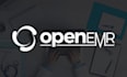 install, do openemr customization and integrations