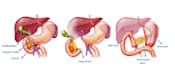 create medical illustrations for you