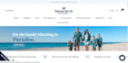 develop any shopify ecommerce, dropshipping websites