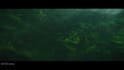 do compositing and rotoscopy and paint