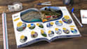 do print ready flyer or bifold or trifold brochure design