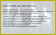 do create lifetime energy assistant with  selected abilities