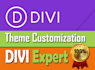 build a professional website using divi theme