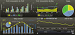 design dashboard with datatable,charts, graphs, pivot tables