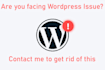 fix all wordpress error bugs issues within 1 hour