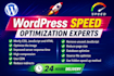 do wordpress speed optimization for google pagespeed insights and gtmetrix