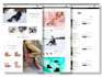 do full stack custom website development