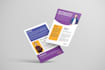 design professional flyers, brochures, booklets, and company profiles