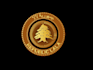 design custom logo coin, medallion, or badge design