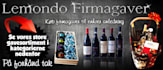 design static banner for websites