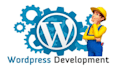 design and develop a professional wordpress website