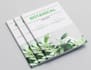 create a professional brochure magazine business proposal
