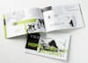 do pro design for a flyer, brochure, white paper, proposal and company profile