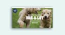 design and redesign wix website