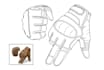 do detailed vector line art drawing