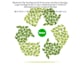 neatly remove clean photo image background transparency